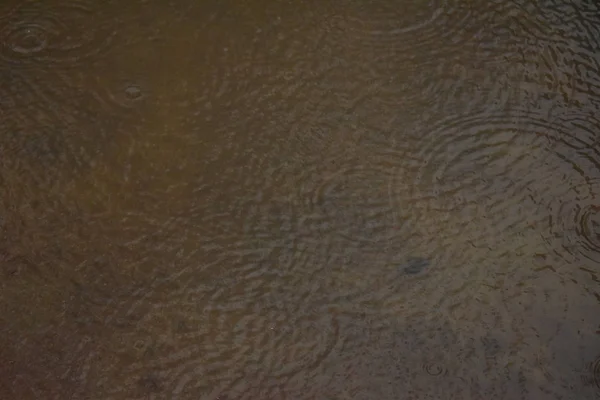 Regendruppels op het wateroppervlak in de vloer met gegradueerde schaduw van zwarte schaduw en reflectie van de blauwe lucht — Stockfoto