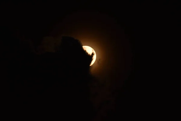 Luna Llena Naranja Cielo Oscuro Fondo Luna Llena Nubes Cubrieron — Foto de Stock