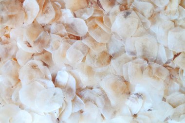 Kuru balık ölçeği