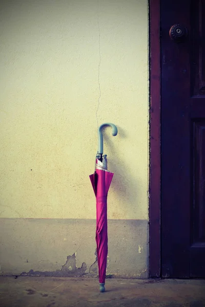 Roze paraplu — Stockfoto