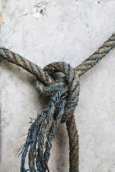 ロープはポールに結び付け. — ストック写真