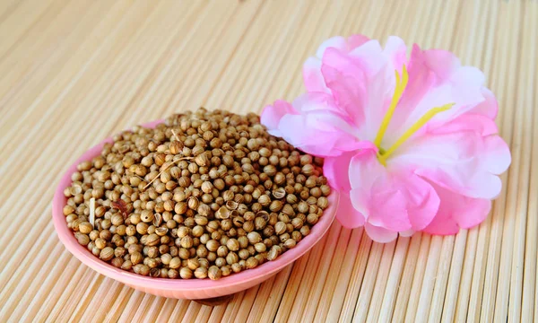 Coriander seed in pink plate — Stock Photo, Image
