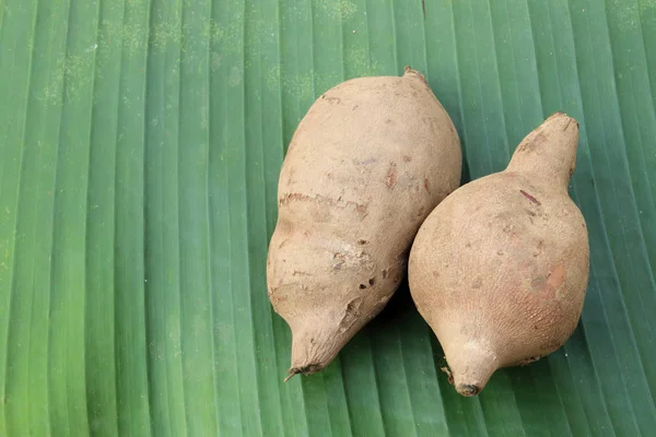 Papa fresca sobre hoja de plátano — Foto de Stock