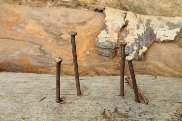 Nagels stok op hout — Stockfoto