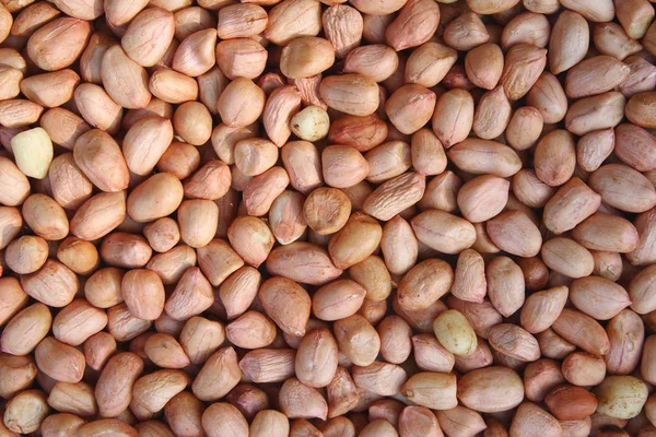 Peeled peanut — Stock Photo, Image