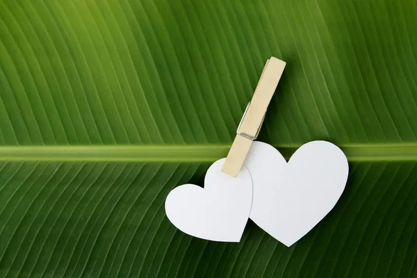 Deux pincement de coeur en papier par clip sur feuille de banane — Photo