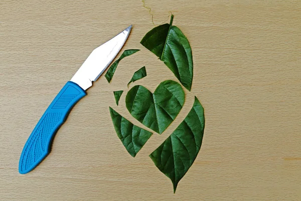 Folha cortada em forma de coração por faca — Fotografia de Stock