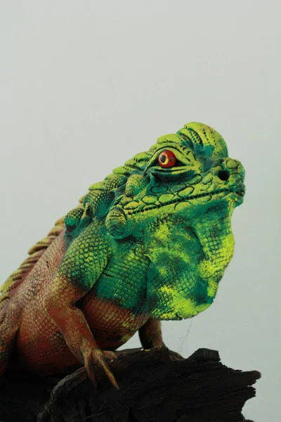 Wooden chameleon — Stock Photo, Image