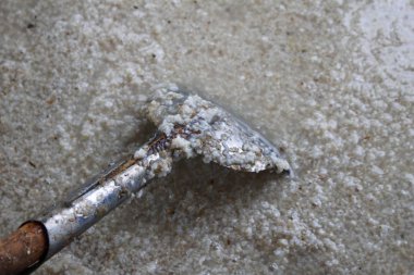 az haşlanmış pirinç