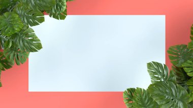 Tropikal Monstera pembe arka plan bırakır. Şablon düzeni, en az moda yaz konsept sanat. Düz yatıyordu, en iyi görünüm. 3D.