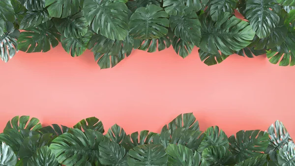 Tropical Leaves Monstera Pink Background Template Layout Minimal Fashion Summer — Stock Photo, Image