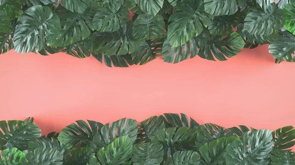 Tropical leaves Monstera on pink background. Template layout, minimal fashion summer concept art . Flat lay, top view. 3d.