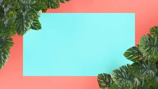 热带叶蒙特拉在粉红色的背景 模板布局 最小的时尚夏季概念艺术 平坦的平面 顶部的景色 — 图库照片