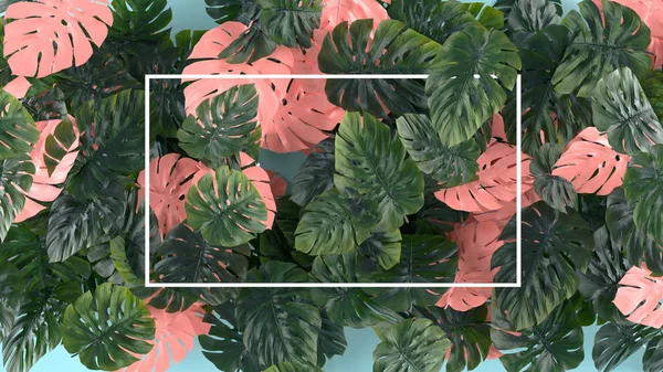 Tropica pink and green leaves Monstera on blue background. Template layout, minimal fashion summer concept art . Flat lay, top view. 3d.
