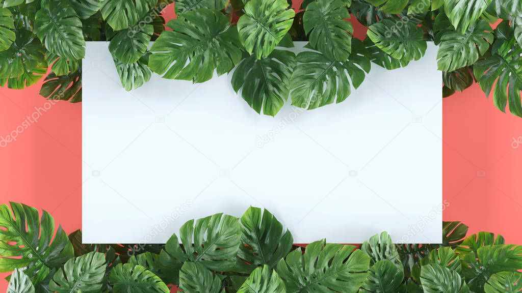 Tropical leaves Monstera on pink background. Template layout, minimal fashion summer concept art . Flat lay, top view. 3d.