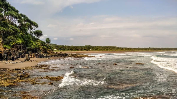 Karang Tawulan Plajı'ndaki Mercan Resifi, Tasikmalaya, Batı Java, Endonezya