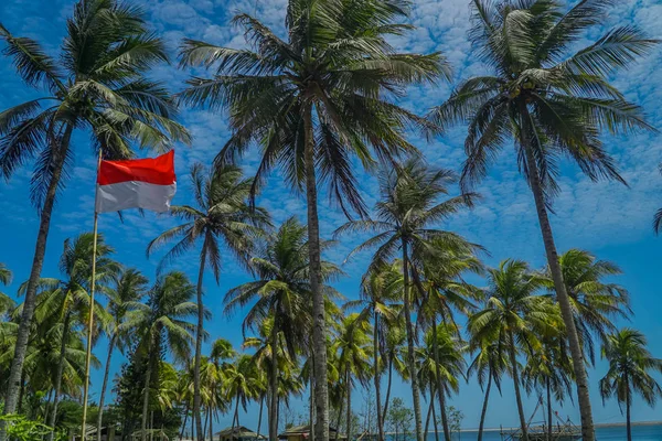 Groene kokospalmen op tropisch eiland. De Indonesische vlag zwaaiend tussen de kokospalmen en de heldere blauwe hemel. — Stockfoto