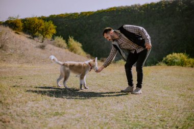 Adam köpek doğada bir yem verir, husky elimdeki gıda bakmak