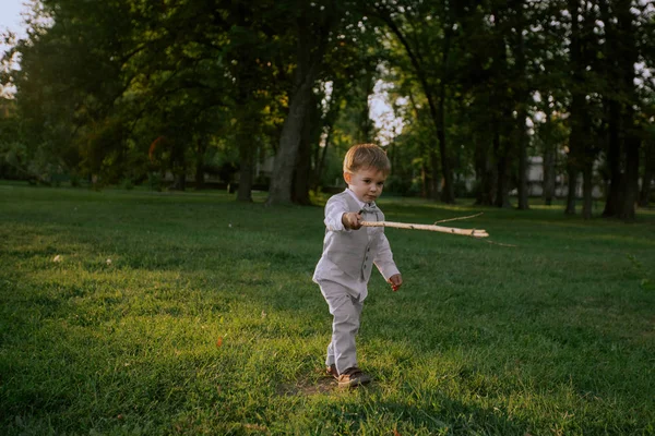一个小男孩在美丽的绿地里玩棍子 — 图库照片