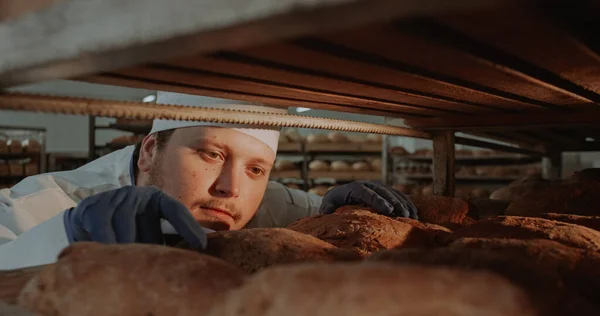 Carismático padeiro gordo olhando através das prateleiras e organizar o pão muito cuidadosamente pão perfeito orgânico — Fotografia de Stock