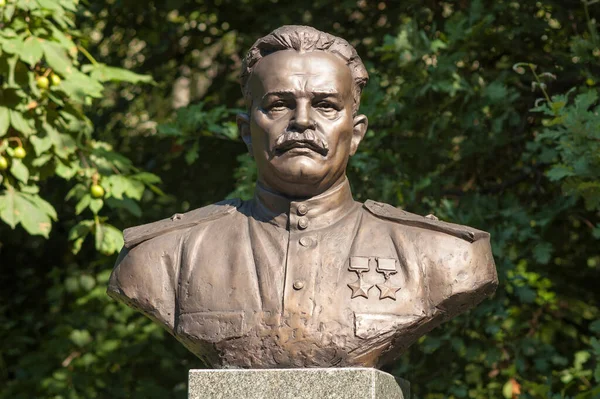Büste Des Sowjetischen Militärkommandanten Und Partisanen Alexej Fjodorow Park Des — Stockfoto