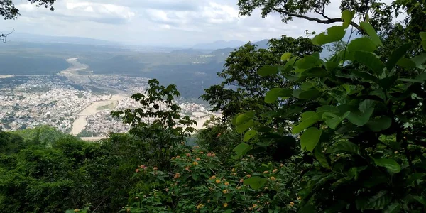 Nubes Blancas Esponjosas Que Albergan Los Hermosos Árboles Verdes Sesión —  Fotos de Stock