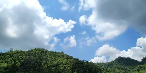 Flauschige Weiße Wolken Schützten Die Schönen Grünen Bäume Fotoshooting Auf — Stockfoto