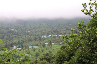 mavi gökyüzünün arka planda yeşil çim