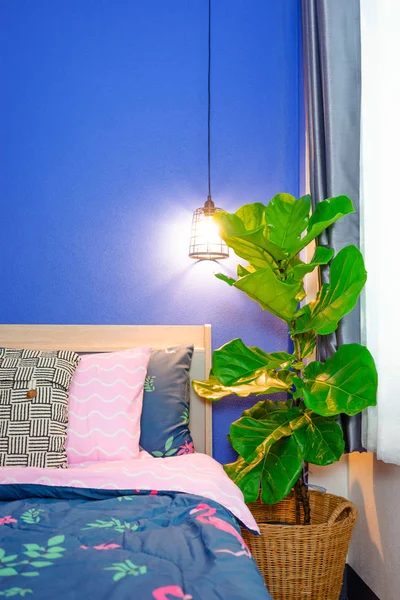 fiddle leaf fig tree in the bedroom.