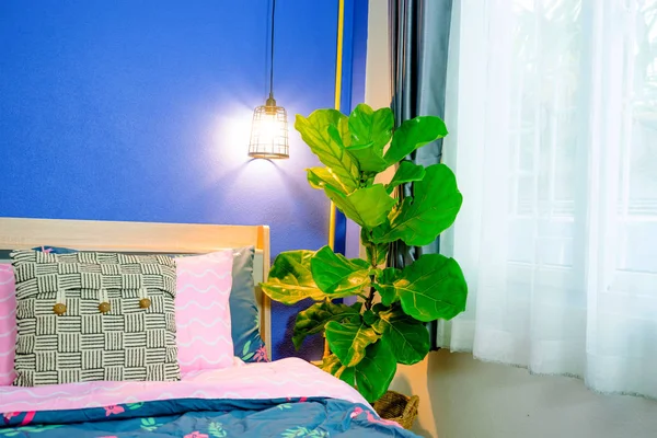 fiddle leaf fig tree in the bedroom.