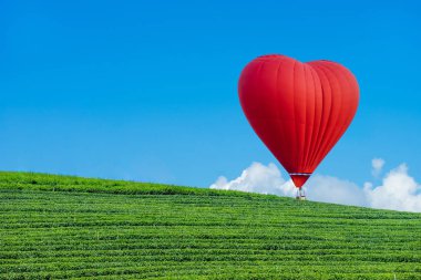 Çay bir çiftlikte bir kalp şeklinde güzel kırmızı balon