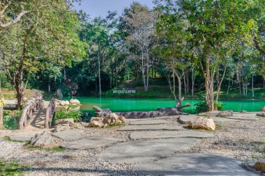 Bataklıkta Tham Luang - Khun Nam Nang sigara Forest Park, Chiang Rai, Tayland Kuzey