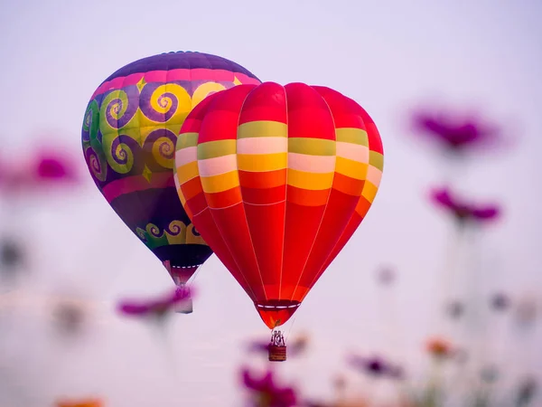 Balões Coloridos Quente Voando Sobre Flores Cosmos Pôr Sol — Fotografia de Stock