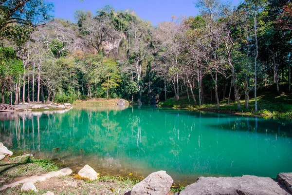 Pântano Tham Luang Khun Nam Nang Non Forest Park Chiang — Fotografia de Stock