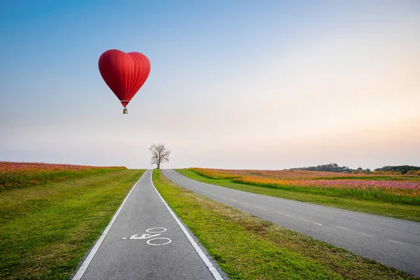 Red hot air balloon in the shape of a heart over cosmos flower f