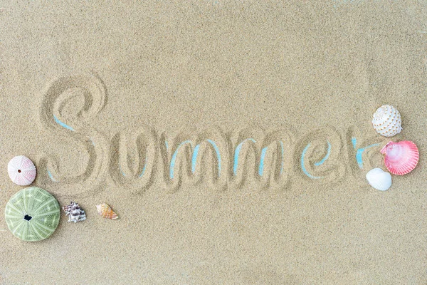 Vue de dessus du sable de plage avec coquillages. concept de fond d'été . — Photo