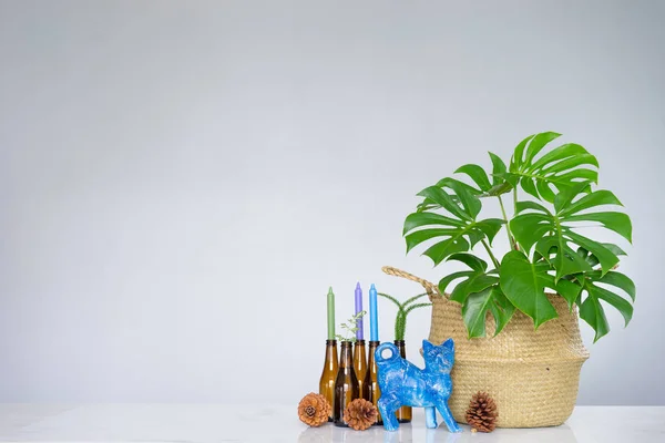 Tumbuhan tropis dengan daun hijau dan pemegang lilin yang terbuat dari kaca — Stok Foto