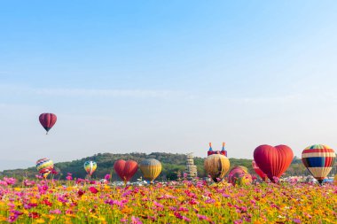Chiang Rai Singh Park'ta uçan renkli sıcak hava balonları, 