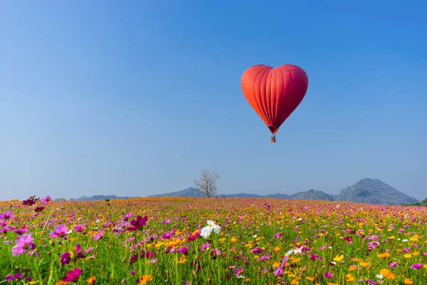 Red hot air balloon in the shape of a heart over cosmos flower — Stock Photo, Image