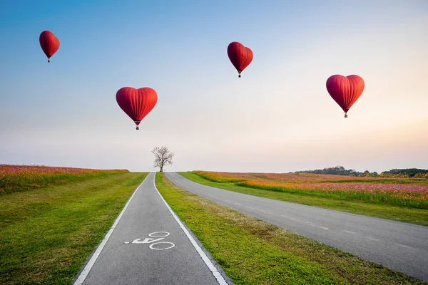 Montgolfières rouges en forme de coeur sur fleur de cosmos — Photo