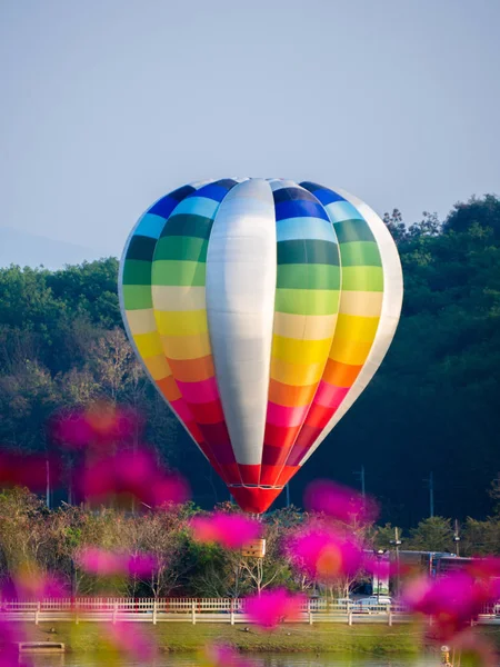 Bunter Heißluftballon fliegt über Kosmos-Blumen — Stockfoto