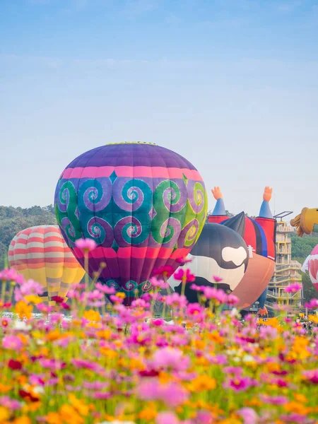 Singha Park Chiangrai International Balloon Fiesta 2019 Singha Park Chiang — Stockfoto