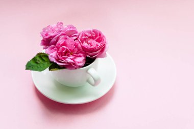 Pembe arka planda bir kasede üç pembe gül. Kartpostal şablonu. Şenlik arka planı. Düz yatıyordu