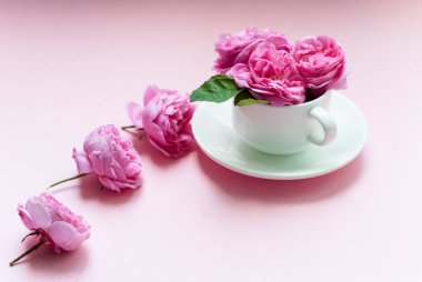 Pembe arka planda bir kasede üç pembe gül. Kartpostal şablonu. Şenlik arka planı. Düz yatıyordu