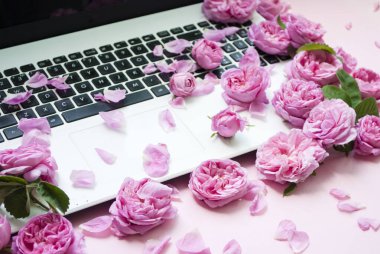 Kartpostal şablonu. Laptop klavyesi pembe güllerle dolu, pembe arka planda tomurcuklar. Üst Manzara. Düz yatıyordu. Şenlik arka planı. Sevgililer Günü
