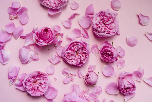 Arreglo Floral Con Brotes Flores Rosas Rosadas Sobre Fondo Rosado — Foto de Stock