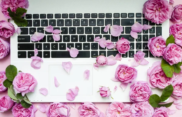 Postcard template. The laptop keyboard is strewn with pink roses, buds on a pink background. top view. Flat lay. Festive background. Valentine\'s Day