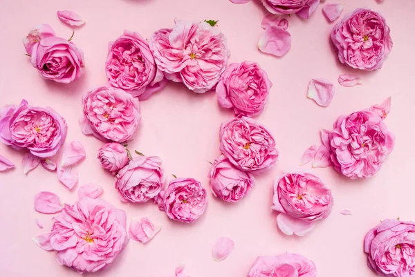 Composición Flores Rosadas Sobre Fondo Rosado Vista Superior Acostado Fondo — Foto de Stock