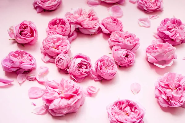 Composición Flores Rosadas Sobre Fondo Rosado Vista Superior Acostado Fondo — Foto de Stock