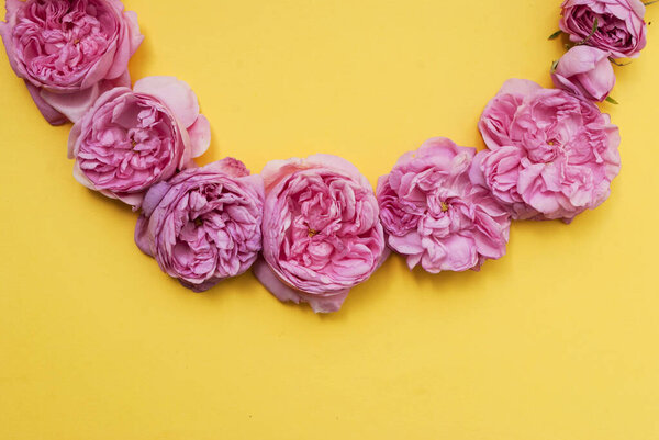 Wreath of flowers. Buds of pink roses on a yellow background. The texture of the flowers. Postcard template. Festive background.